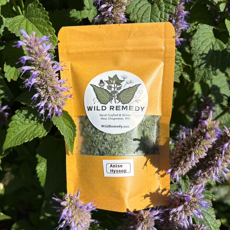 Ansie Hyssop Ansie Hyssop