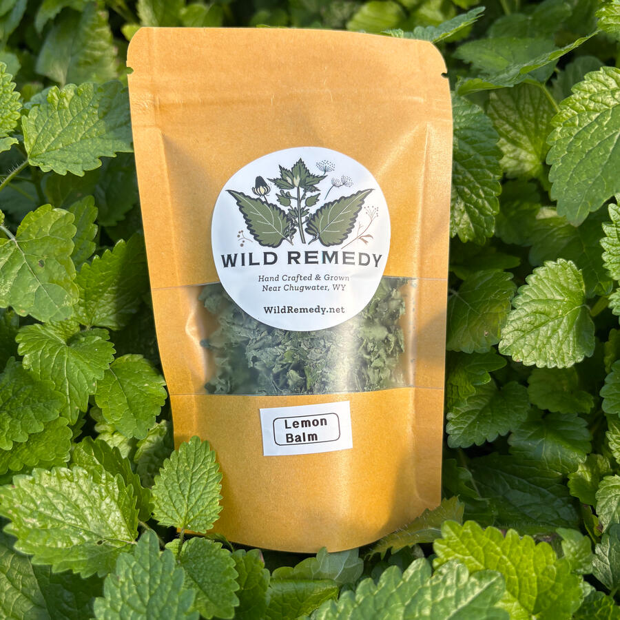 Lemon Balm Lemon Balm