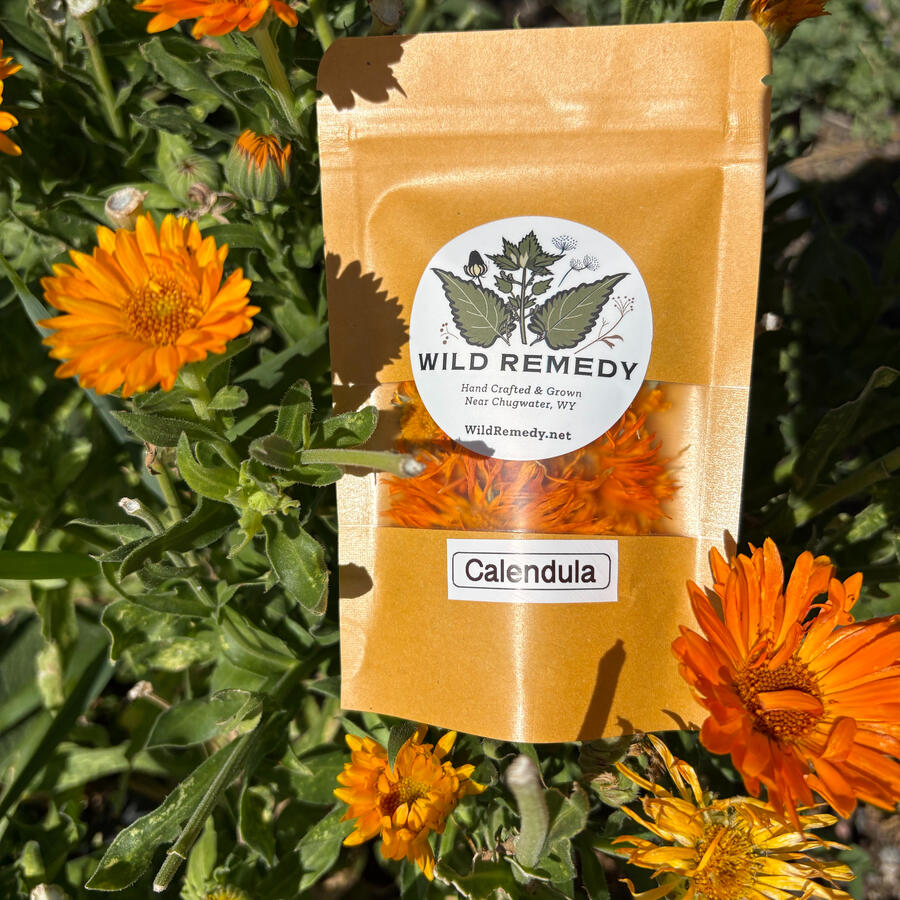 Calendula Calendula